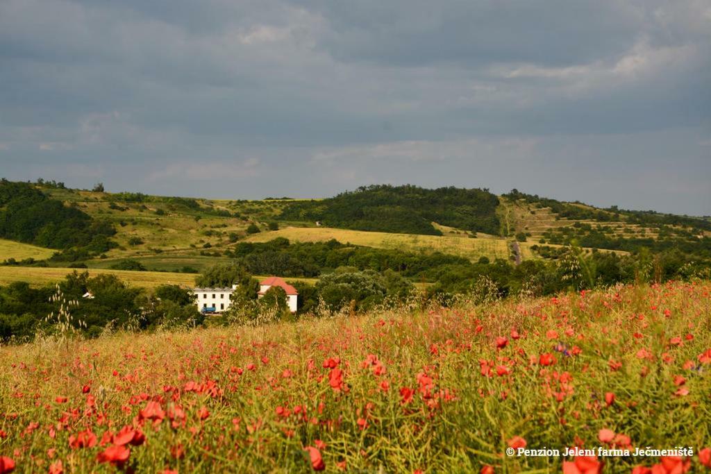 Jeleni Farma Jecmeniste Hotel Vrbovec Luaran gambar